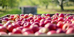 Το ελληνικό φρούτο με τα περισσότερα φυτοφάρμακα σύμφωνα με το ΥΠΑΑΤ - Τι έδειξαν οι έλεγχοι