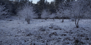 "Πασπάλισε" χιόνι στα ορεινά του δήμου Τρίπολης