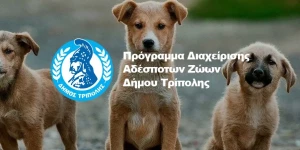 Ιωάννης Παπαδάτος: Ενισχύουμε το μήνυμα της φιλοζωίας και της υπεύθυνης υιοθεσίας