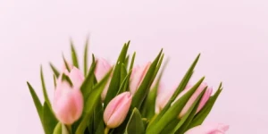 Εορτολόγιο: Ποιος γιορτάζει σήμερα 12 Απριλίου - Σε ποιους θα πείτε "χρόνια πολλά"