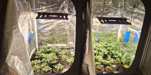 Συνελήφθη ένα άτομο για ναρκωτικά στην Κορινθία