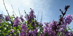 Τρίπολη: ο καιρός σήμερα, 3 Μαΐου