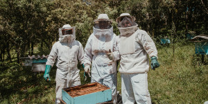 Π.Ε. Αρκαδίας: ξεκίνησε η υποβολή αιτήσων για δράσεις μελισσοκομίας