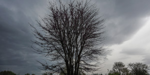 Τρίπολη: Ο καιρός σήμερα, 28 Ιανουαρίου 2026