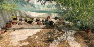 Δύο συλλήψεις για ναρκωτικά από αστυνομικούς του Τμήματος Δίωξης Ναρκωτικών Καλαμάτας