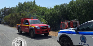 Μεγαλόπολη: Πυρκαγιά στο δρόμο προς το Νεοχώρι Λυκόσουρας