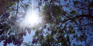 Τρίπολη: ο καιρός σήμερα, 23 Σεπτεμβρίου