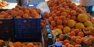 Έγκριση νέων αδειών και θέσεων για υπαίθριο εμπόριο στην Π.Ε. Αρκαδίας