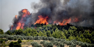 Πυρκαγιά σε αγροτοδασική περιοχή της Μεσσηνίας