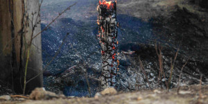 19χρονος ομολόγησε και υπέδειξε το σημείο όπου έβαλε φωτιά στα Συχαινά Αχαΐας