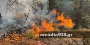 Πυρκαγιά ξέσπασε στο Ρούτσι Μεγαλόπολης
