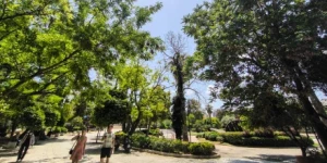 Τρίπολη: Ο καιρός σήμερα, 13 Σεπτεμβρίου