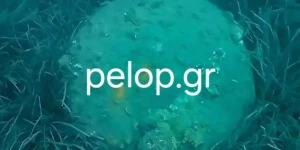 Ψαροντουφεκάς... αλίευσε νάρκη του Β' ΠΠ στα Νιφορέικα Αχαΐας