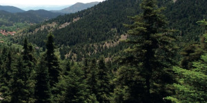 Έως την Τετάρτη 24 Σεπτεμβρίου η υποβολή αιτήσεων εγγραφής καταρτιζόμενων στη Δημόσια ΣΑΕΚ Στεμνίτσας