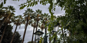 Τρίπολη: Ο καιρός σήμερα, 20 Δεκεμβρίου 2025