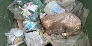 Πολίτης εντόπισε σκύλο μέσα σε τσουβάλι σε κάδο απορριμμάτων στη Μεγαλόπολη