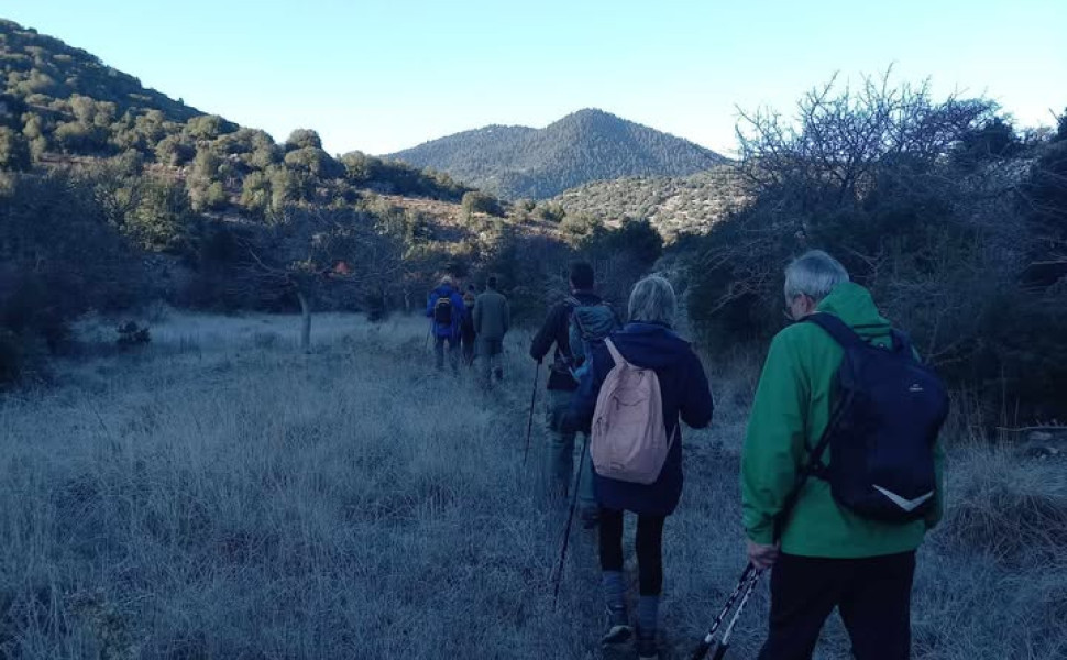 Δελτίου Τύπου / Σ.Α.Ο.Ο.