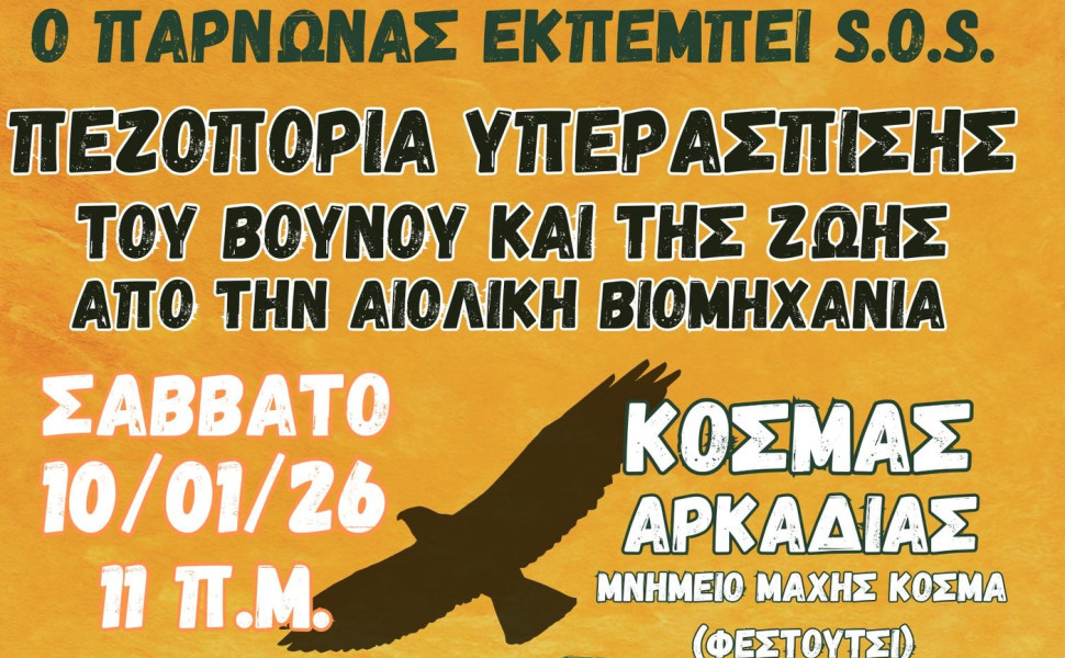 Δελτίο Τύπου