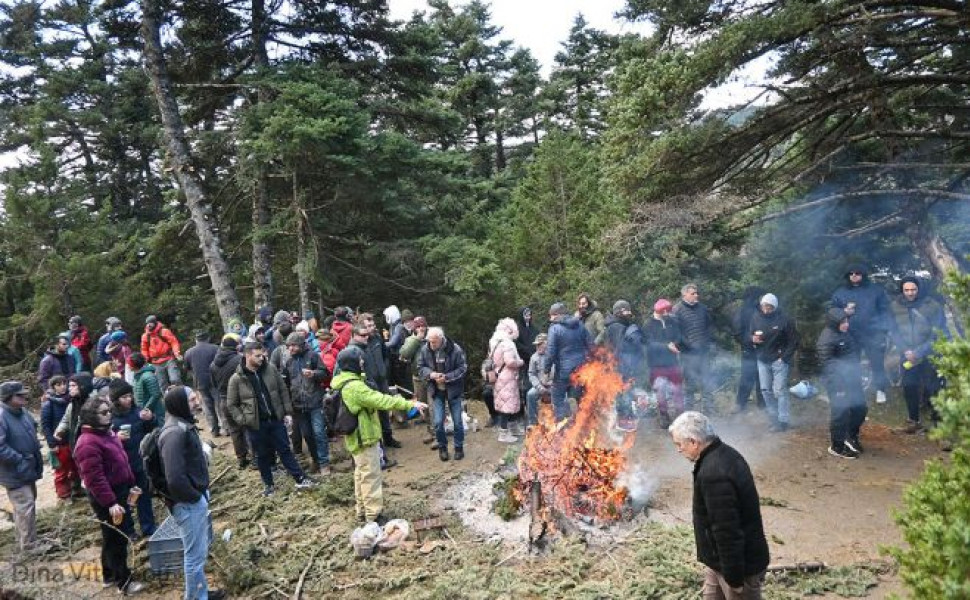 Δελτίο Τύπου
