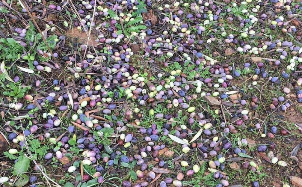 Δελτίο Τύπου