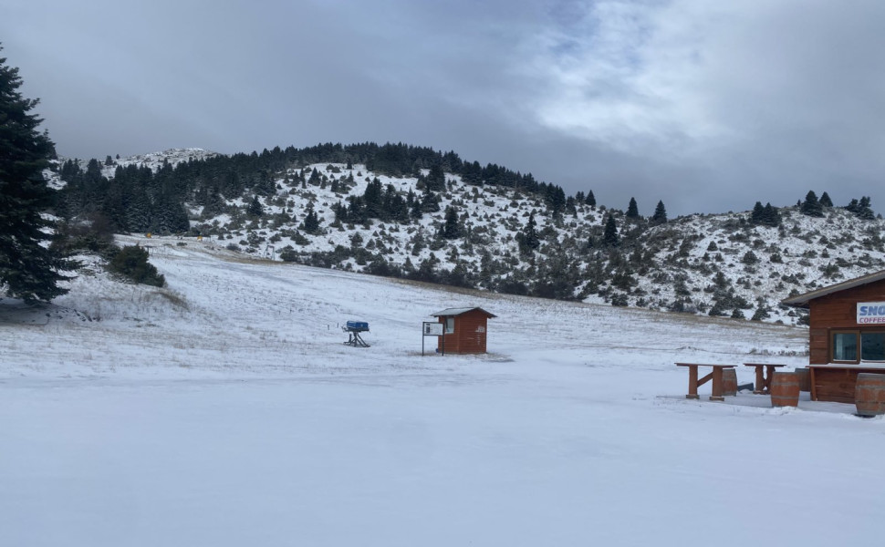 Δελτίο Τύπου