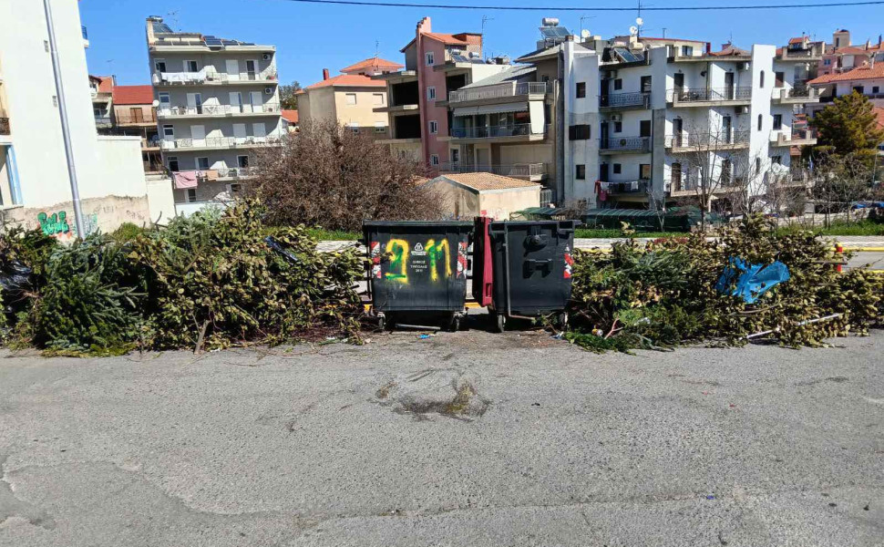 Δελτίο Τύπου