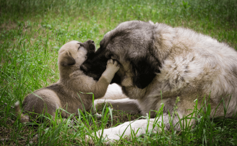 Δελτίο Τύπου