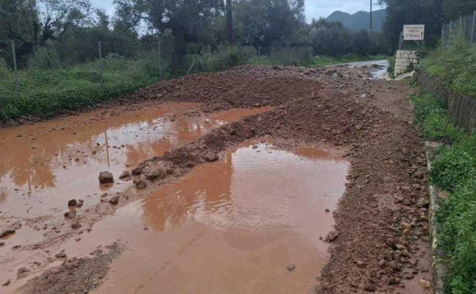 Δελτίο Τύπου