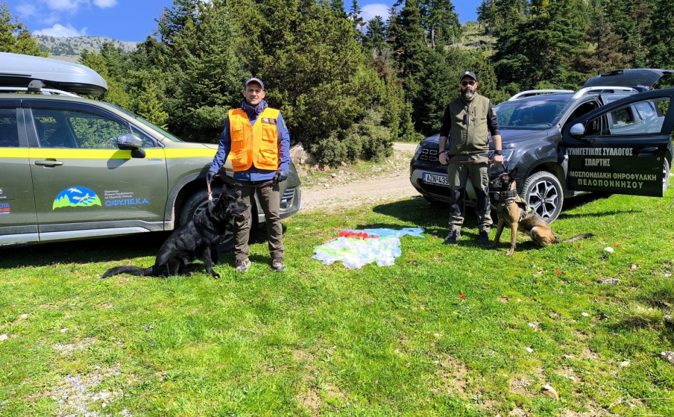 Δελτίο Τύπου