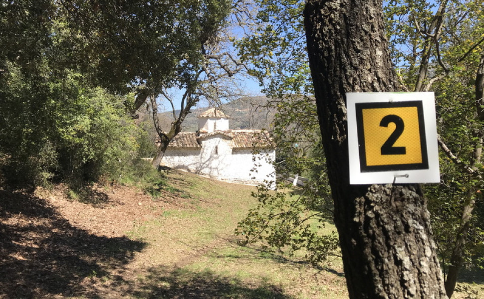 Δελτίο Τύπου