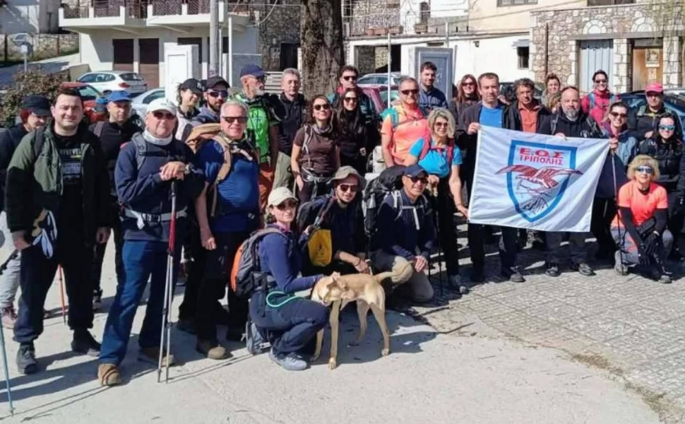 Δελτίο Τύπου