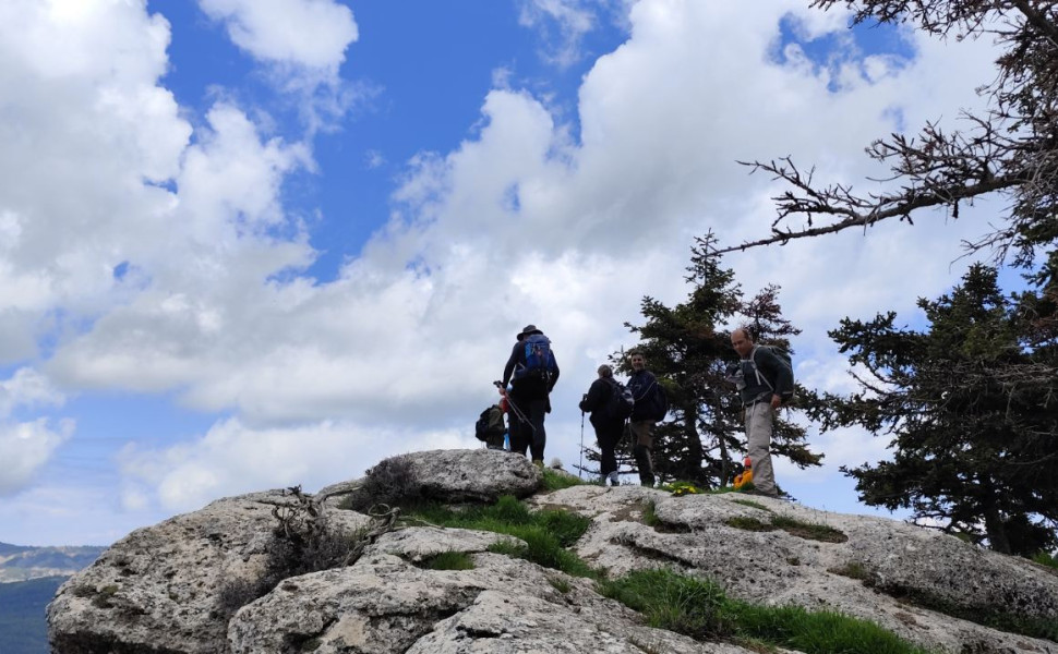 Δελτίο Τύπου