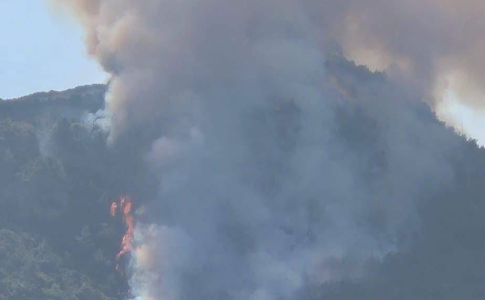 FB / Εποχικοί Πυροσβέστες