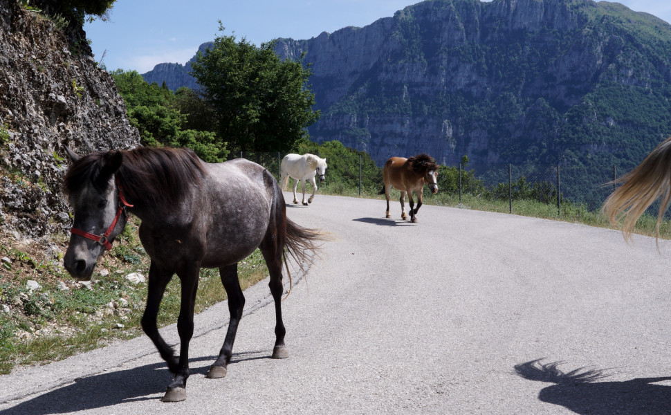 ΑΝΤΩΝΗΣ ΝΙΚΟΛΟΠΟΥΛΟΣ/ΑΡΧΕΙΟ EUROKINISSI
