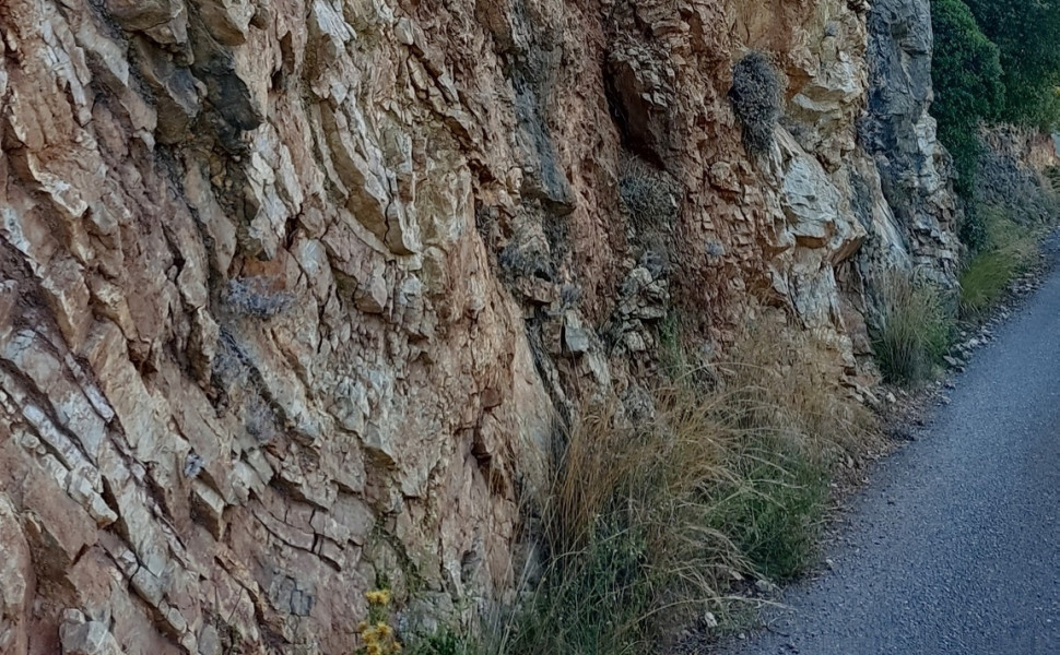 αρχείου Δελτίου Τύπου