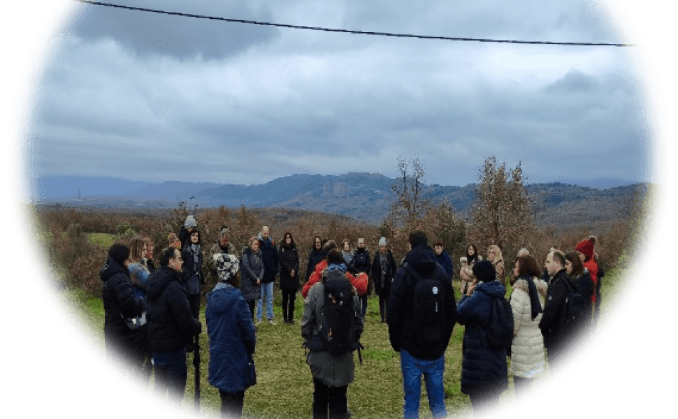 Δελτίο Τύπου
