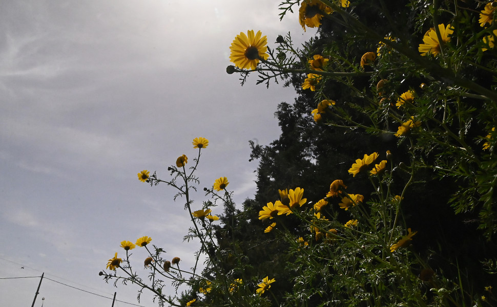 EUROKINISSI/ΒΑΣΙΛΗΣ ΠΑΠΑΔΟΠΟΥΛΟΣ