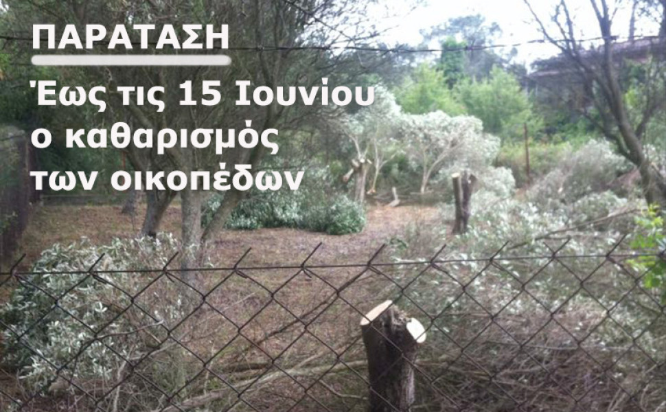 Δελτίο Τ΄ύπου