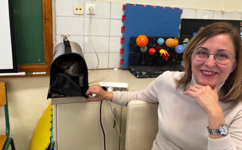 Δελτίο Τύπου