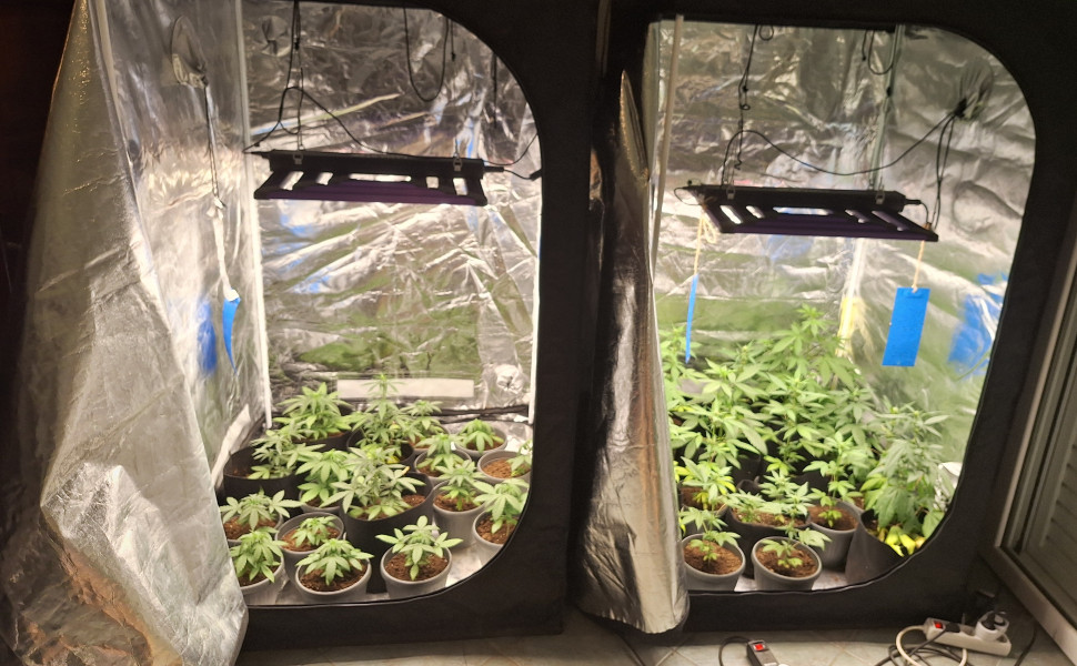 Δελτίου Τύπου