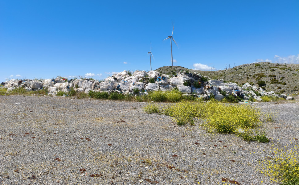 Δελτίο Τύπου