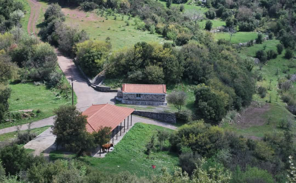 Facebook/ΣΥΛΛΟΓΟΣ ΣΤΡΟΓΓΥΛΑΙΩΝ(ΚΑΤΩ ΚΟΤΥΛΙΩΝ)