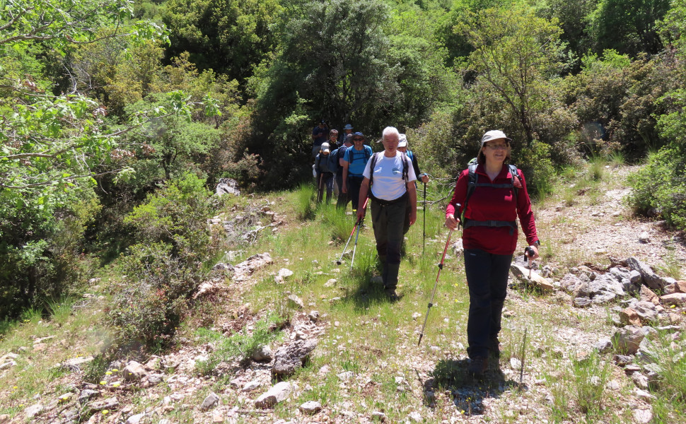 Δελτίο Τύπου