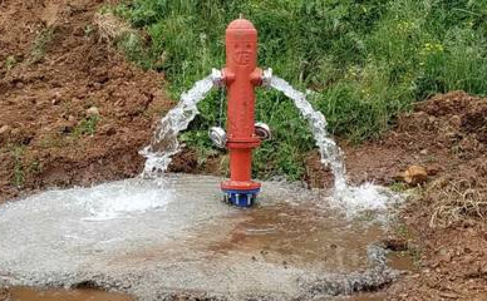 Δελτ΄ίο Τ΄ύπου