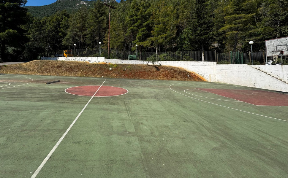 Δελτίο Τύπου