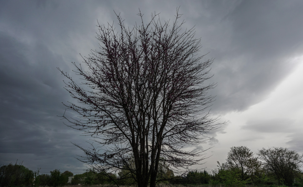 ΘΑΝΑΣΗΣ ΚΑΛΛΙΑΡΑΣ/EUROKINISSI