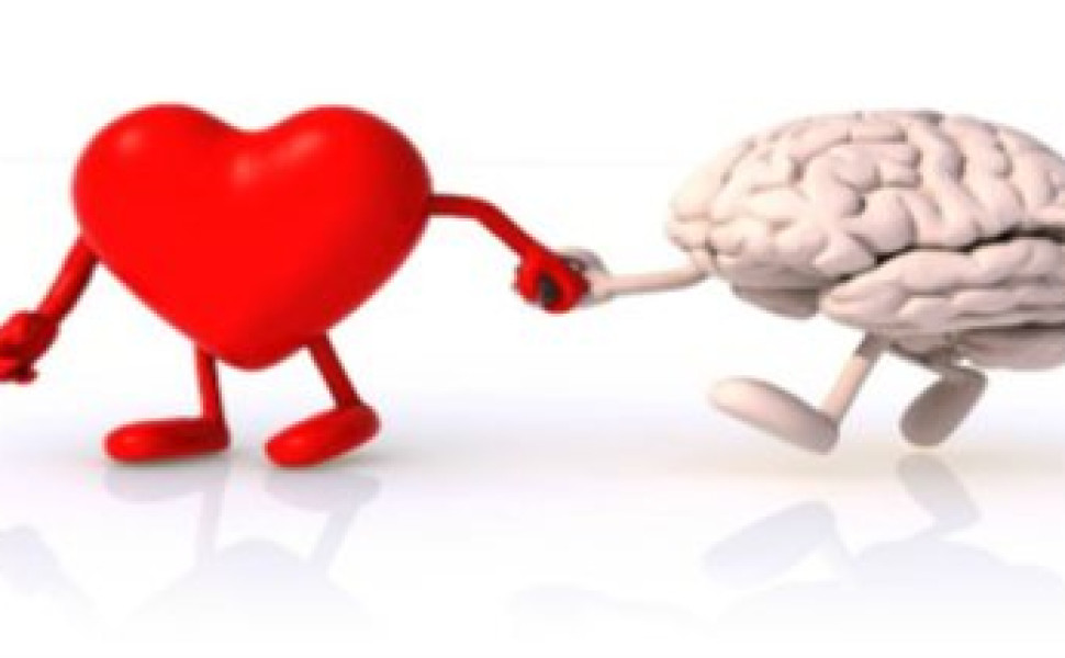 Δελτίο Τύπου