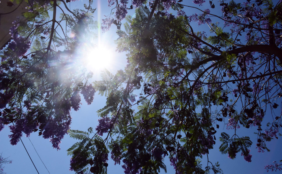 ΒΑΣΙΛΗΣ ΠΑΠΑΔΟΠΟΥΛΟΣ / EUROKINISSI