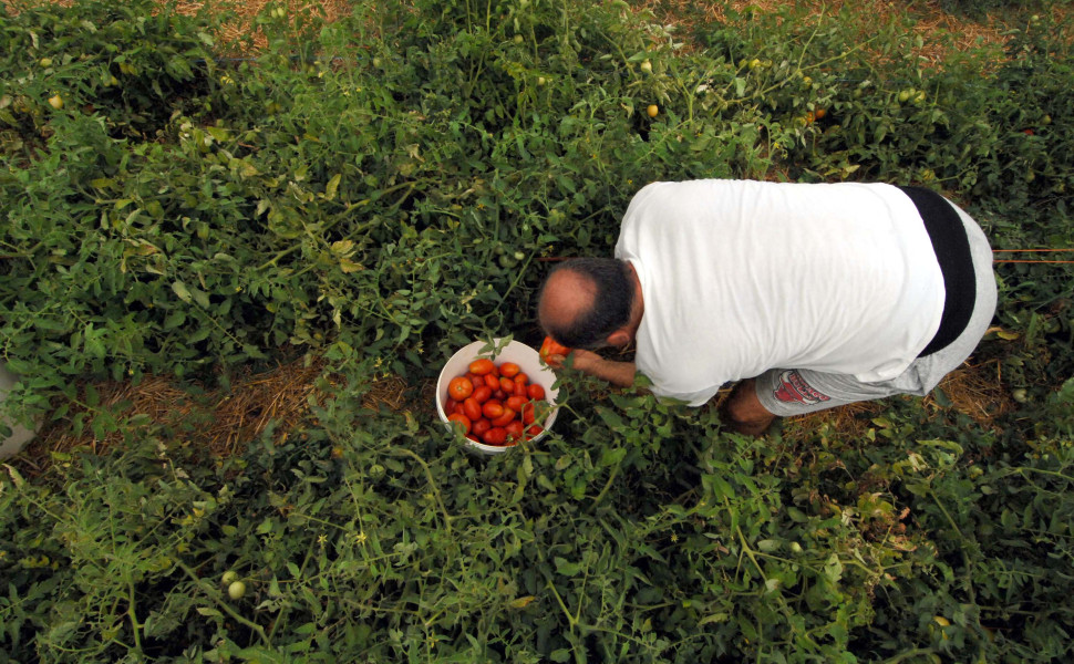 ΑΡΧΕΙΟ EUROKINISSI/ΘΑΝΑΣΗΣ ΚΑΛΛΙΑΡΑΣ