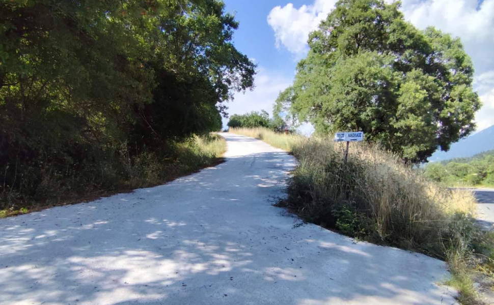 Δελτίο Τύπου